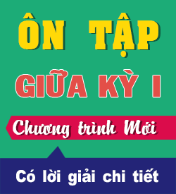Ôn tập Giữa học kỳ I (KNTT11)